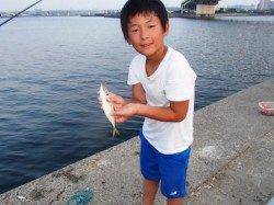 花市で【デカアジ】泉大津店26日夕方RT