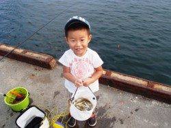 倉庫前で豆アジ！水銀灯でキス爆釣！泉大津RT