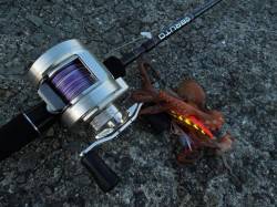 岸和田一文字オクトパッシング【青物の気配も…