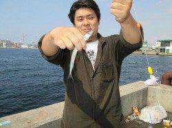 兵庫突堤のサヨリ・2ケタ釣果!