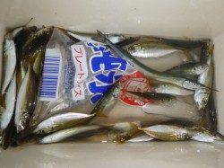 兵突の夜とゴールデンタイム!