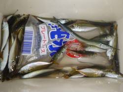 兵突の夜とゴールデンタイム！