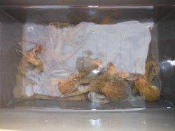 【夕方から、アジ・サバ釣れます♪】南芦屋浜