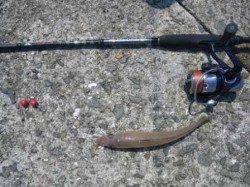 岸和田一文字でオクトパッシングー★