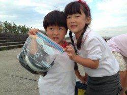 【家族での釣りにオススメ♪】南芦屋浜サビキ