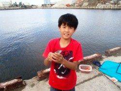 小アジにサヨリ♪キスまでも！泉大津RT！夕方