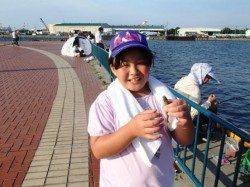 小アジが良い感じに♪　17日夕方泉大津ＲＴ