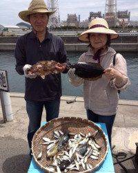 サビキで大物！アコウにヒラメ☆