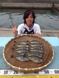 マリーナシティ海釣り公園　ウキ釣りでアイゴ13尾