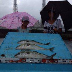 マリーナシティ海上釣り堀で青物に真鯛!