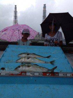 マリーナシティ海上釣り堀で青物に真鯛!