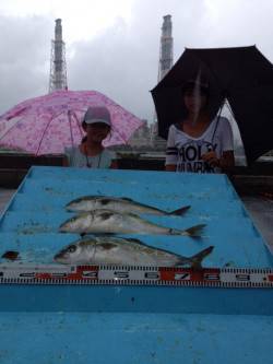 マリーナシティ海上釣り堀で青物に真鯛！