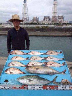 マリーナシティ海洋釣り堀　マダイ・青物高活性