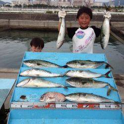 マリーナシティ海洋釣り堀　ハマチ＆マダイで楽しめる