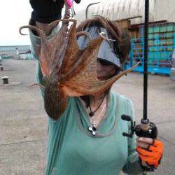 助松埠頭　日中のオクトパッシングでタコ〜300g11匹