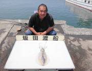 【2日】黒島の磯・筏でのアオリイカ釣果