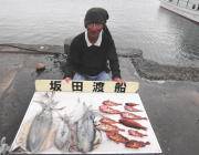 黒島の筏　良型アオリイカとガシラ♪