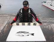 黒島の磯でオキアミフカセ　★チヌ50cm★…