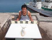 【7日】黒島の磯ヤエンでのアオリイカ釣果