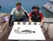 黒島の磯　納得サイズのチヌをゲット