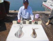 黒島の筏のアオリ　エギングやウキ釣りでも♪