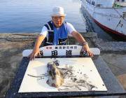 アオリ1.2kgはじめてのヤエンでゲット！…