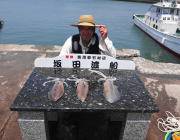【11日】ヤエンでのアオリイカ釣果