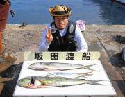 黒島の磯でルアー釣り、ミノーでシイラがでま…