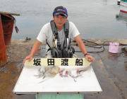 快釣！黒島の磯でのエギング釣果