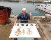 黒島の磯でのヤエン釣果〜アオリ0.4〜0.…