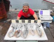 泳がせ釣りでアオリイカ５ハイ！ 黒島の磯