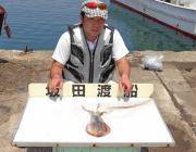 黒島の磯　エギングでのアオリイカ