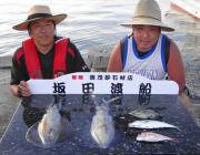 黒島の筏　アオリイカ・マルアジ・カワハギ・…