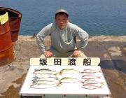 黒島の筏　良型マルアジにチャリコなど