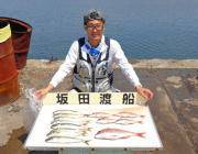 黒島の筏 良型マルアジにチャリコなど