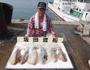 ヤエンでアオリイカ～1.0㎏6ハイ