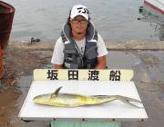 黒島の磯　イワシカラーのペンシルでシイラH…