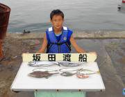 筏でのキッズ釣果 チヌ・アイゴ・カワハギなど