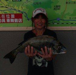 大丹生防波堤でチヌ50cm！良型です☆