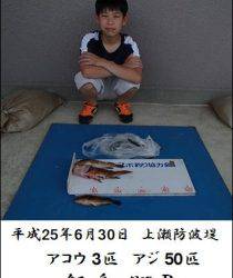 上瀬防波堤でアコウ3匹とアジ約50匹の釣果