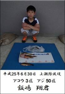 上瀬防波堤でアコウ3匹とアジ約50匹の釣果…