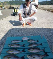 神谷沖一文字、カゴ釣りでイサギ好釣♪