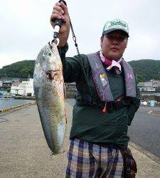 アジの呑ませ釣りでシイラGET☆沖一文字