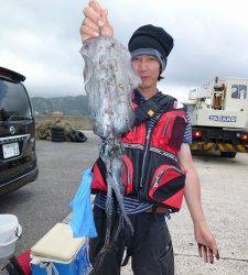 神谷工場裏の波止　ヤエンでアオリイカ700g