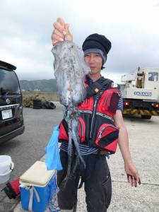 神谷工場裏の波止　ヤエンでアオリイカ700…