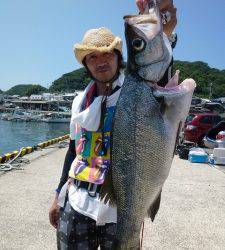 飲ませ釣りでヒラスズキ！沖一文字内向き