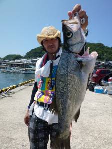 飲ませ釣りでヒラスズキ！沖一文字内向き