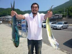 飲ませのアジにシイラが良く反応しました