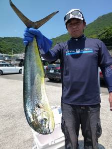 神谷一文字　ルアーでシイラ〜80cm2匹