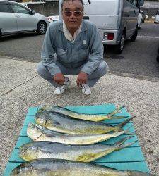 神谷沖一文字　飲ませのシイラ数出てます